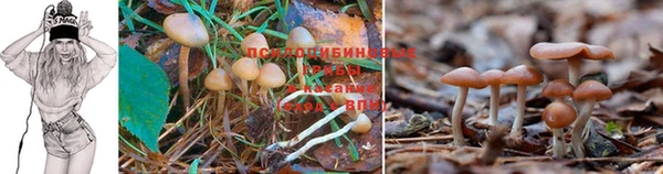 бутират Каменка