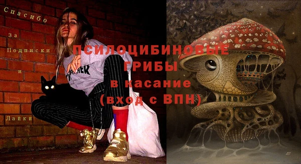бутират Каменка