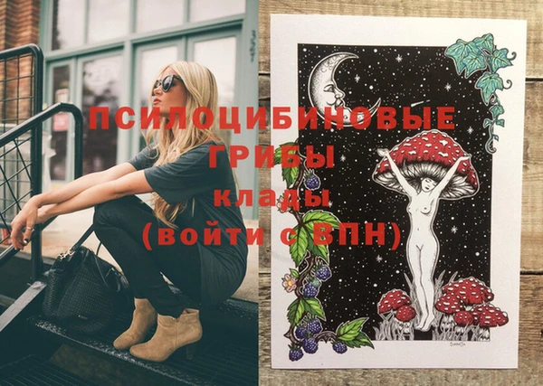 мяу мяу мука Каменск-Шахтинский