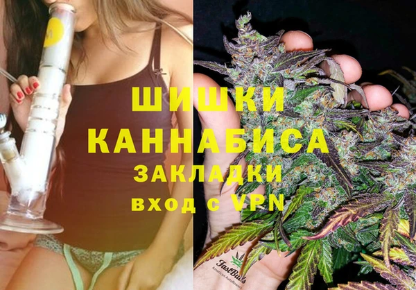 бутират Каменка
